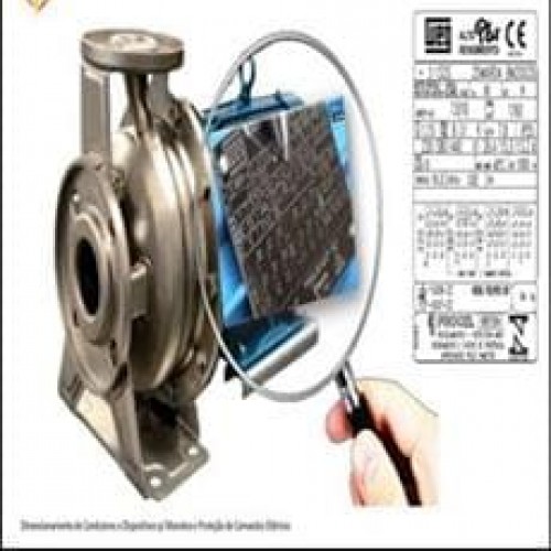 Especificação e Dimensionamento de Motores Elétricos - Ronaldo Lima