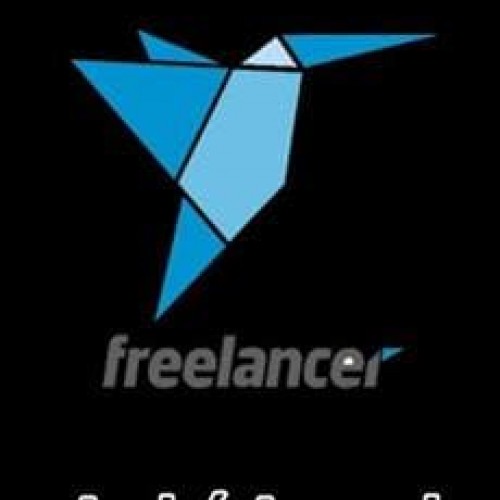 Você Freelancer - André Amaral