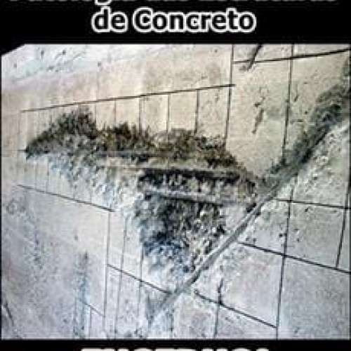 Patologia das Estruturas de Concreto - ENGEDUCA