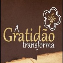 A Gratidão Transforma - Marcia Luz