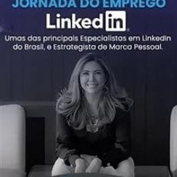 Jornada do Emprego no LinkedIn - Luciane Lopes Borges