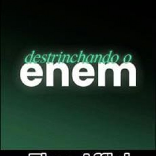 Destrinchando o Enem - Theo Affini